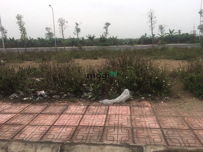 Hình ảnh Bán 75m đất đấu giá Cự Khối dãy TT7 giá hấp dẫn