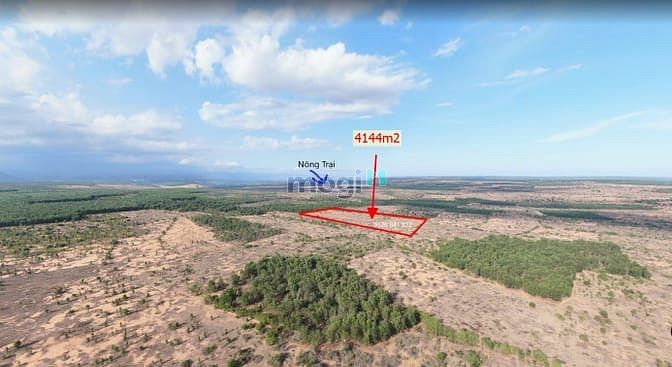 Hình ảnh Bán đất bình thuận 4144m2 giá 538 triệu, (chiếc khấu 10%), SỔ ĐỎ