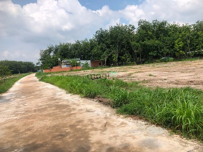 Hình ảnh 1000m2 Đất Sát khu công  nghiệp Hàn Quốc giá rẻ