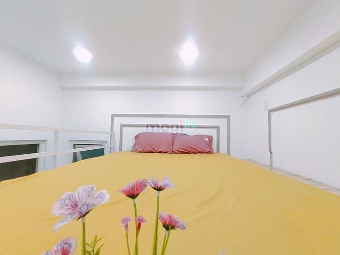 Hình ảnh 🌿✨Căn Hộ Gác Lửng, Giá Hỗ Trợ, Vùng Xanh Phạm Văn Chiêu, Gò Vấp