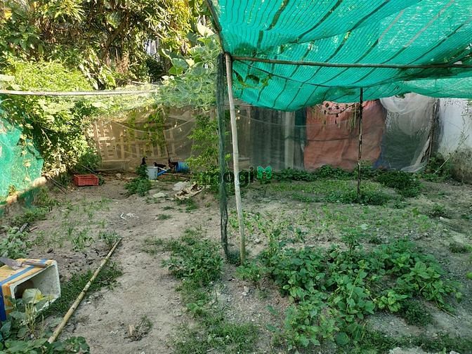 Hình ảnh Đất Vĩnh Phú giáp ranh thành phố Hồ Chí Minh