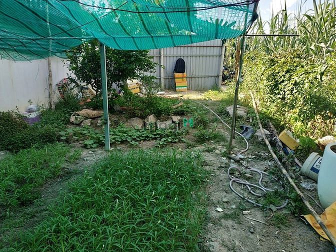 Hình ảnh Đất Vĩnh Phú giáp ranh thành phố Hồ Chí Minh