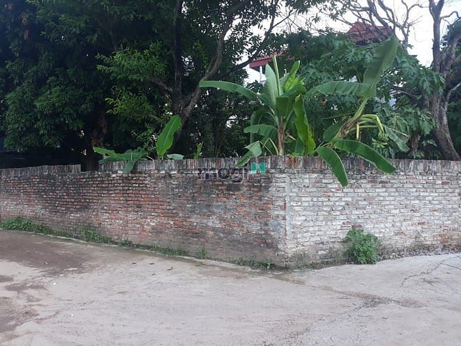 Hình ảnh Bán đất tại thôn phúc thọ, xã mai lâm, đông anh, 75m2, 3,75 tỷ