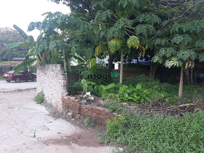 Hình ảnh Bán đất tại thôn phúc thọ, xã mai lâm, đông anh, 75m2, 3,75 tỷ