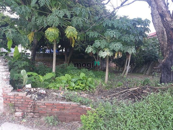 Hình ảnh Bán đất tại thôn phúc thọ, xã mai lâm, đông anh, 75m2, 3,75 tỷ