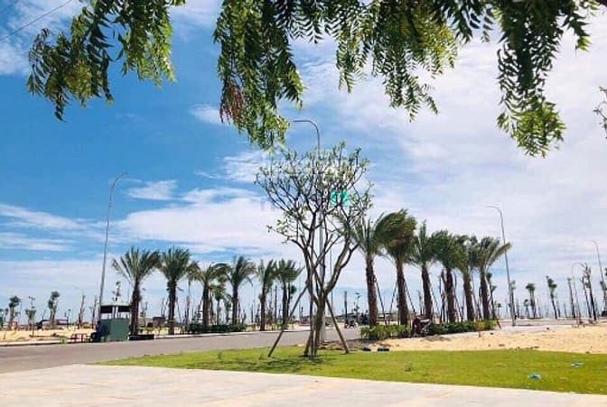 Hình ảnh Trang MB66.COM Chính Thức - MB 66 Uy Tín thất bại cần ra hàng gấp - Đất nền LK dự án Nhơn Hội NewCity