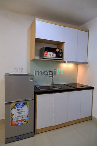 Hình ảnh Cho Thuê CHDV Phú Mỹ Hưng,quận 07