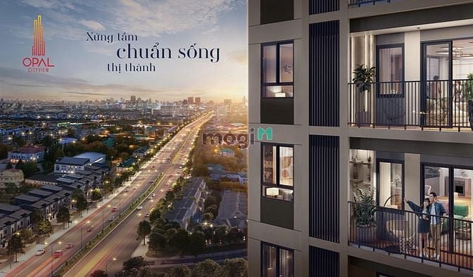 Hình ảnh Mặt bằng layout của dự án opal cityview