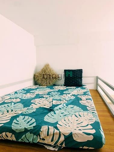 Hình ảnh 🍁Căn Hộ Gác Lửng Cửa Sổ Đón Nắng - Gần ĐH BÁCH KHOA, Giá Hỗ Trợ