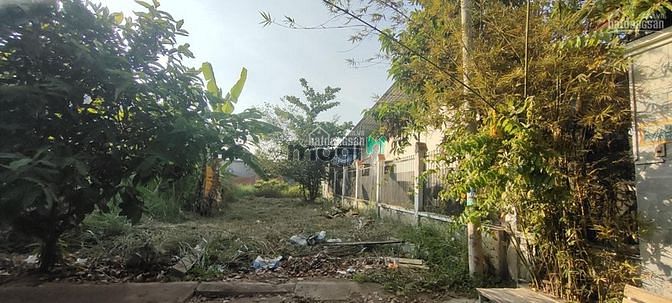 Hình ảnh Bán 138m2 đất thổ cư hẻm 2042 Nhơn Đức, Nhà Bè