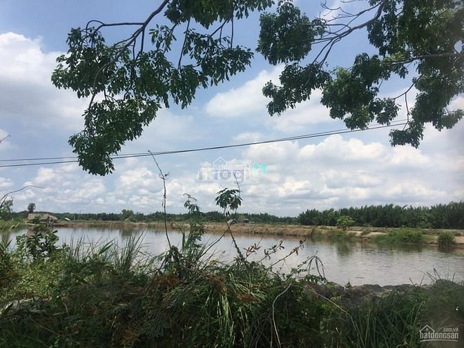 Hình ảnh 6094m2 đất mặt tiền Nguyễn Bình Nhơn Đức