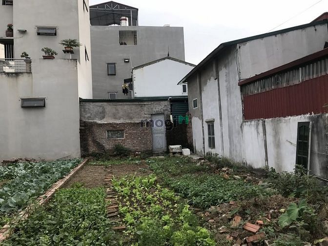 Hình ảnh Bán đất thuộc thổ cư Cự Khối chân cầu Thanh Trì cách 10m ra đường ô tô