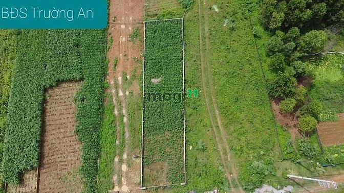 Hình ảnh Lô đất rẻ hơn thị trường, mặt đường bãi dài, gần ĐHQG Hà Nội