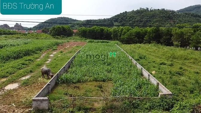 Hình ảnh Lô đất rẻ hơn thị trường, mặt đường bãi dài, gần ĐHQG Hà Nội