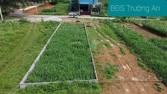 Hình ảnh Lô đất rẻ hơn thị trường, mặt đường bãi dài, gần ĐHQG Hà Nội