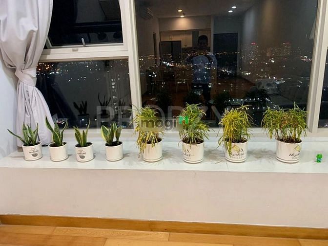 Hình ảnh Chung cư La Casa Cho thuê căn 2PN- 92m2- Nội thất đầy đủ, căn góc