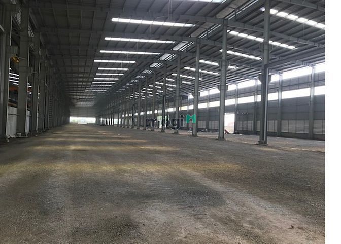 Hình ảnh Cho thuê gấp kho xưởng 10.000m2 ở Phan Văn Hớn, Tân Thới Nhất, Q.12
