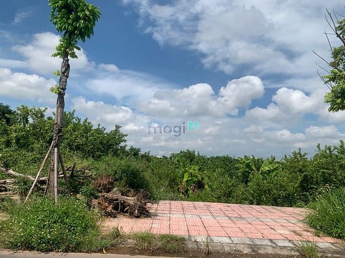 Hình ảnh Bán lô đất nền 68m đất đấu giá Cự Khối TT8, trước đường sau ngõ