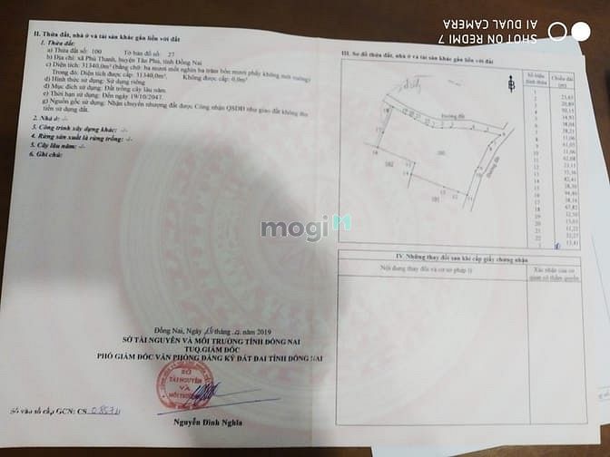 Hình ảnh Đất dân ngộp cần bán ra gấp các sổ có diện tích1000m2, 2400m2 và 3,1ha
