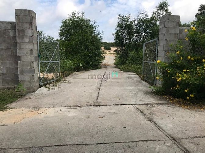 Hình ảnh Đất sát bãi Biển Hồ Lân, Tân Thắng, Bình Thuận. Giá 4 tỷ 5