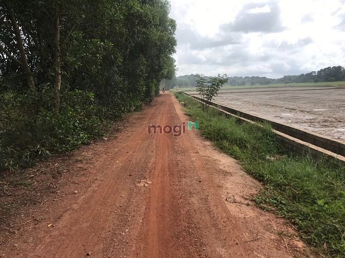 Hình ảnh đất 1 héc 8 đất view sông sát biển Bình Thuận 17 tỷ 5