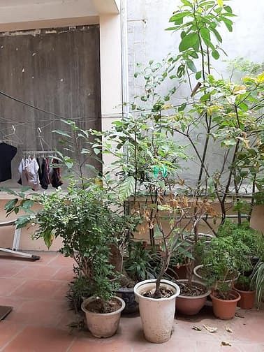 Hình ảnh Bán nhà Thái Thịnh, 50m2, 4 tầng, gần phố, 5.2 tỷ
