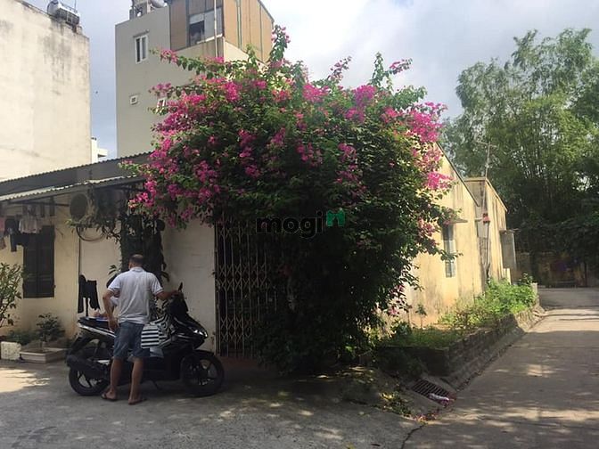 Hình ảnh Bán đất Nguyễn Khoái, 50m2, mt 4,7m, ô tô vào, 2.5 tỷ