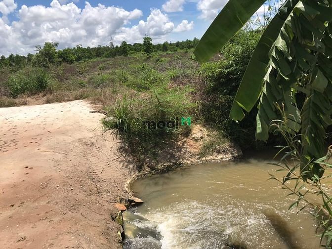 Hình ảnh Đất 1 héc 6 có con suối. Thắng Hải, Hàm Tân giá 1 tỷ 9