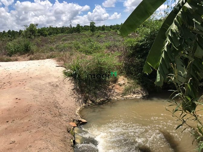 Hình ảnh Đất 1 héc 6 có con suối. Thắng Hải, Hàm Tân giá 1 tỷ 9