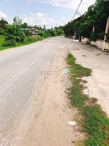 Hình ảnh Đất Nông Nghiệp, Tân Túc, Bình Chánh