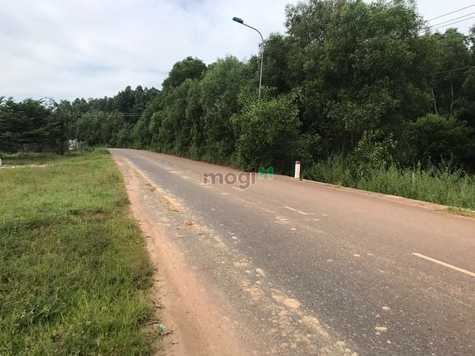 Hình ảnh 2 héc đất MĂT TIỀN KCN Thắng Hải , Bình Thuận. Giá 7 tỷ