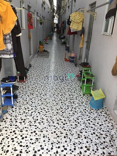 Hình ảnh Nhà Trọ Mới, Giờ Tự Do, 43/3 Đường Trương Phước Phan, Quận Bình Tân