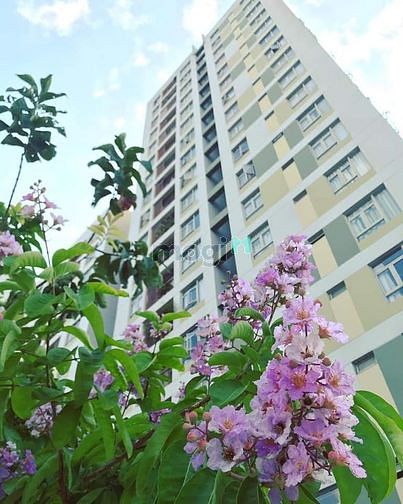 Hình ảnh Cho thuê nhiều Trang Chủ MB66.COM / Đăng Ký Tặng 66K Parcspring - 2pn 8tr - 3pn 10tr