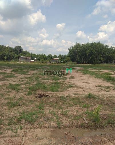 Hình ảnh Chính chủ cần bán 1008m2 giá 470Tr
