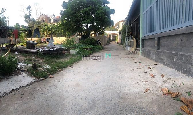 Hình ảnh Bán Lô Đất 116,5m2 Hẻm 61 Đường Hàng Tre, Phường Long Thanh Mỹ,Q9