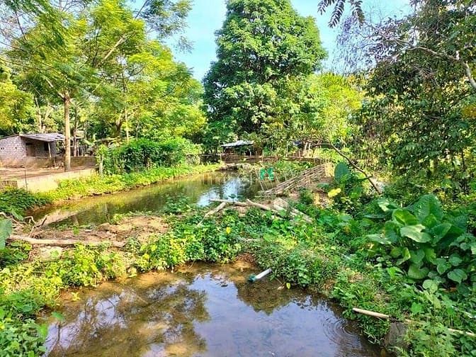 Hình ảnh ✅ 𝐒𝐢𝐞̂𝐮 𝐏𝐡𝐚̂̉𝐦 đ𝐚̂́𝐭 phú cường-tân lạc,𝐇𝐨̀𝐚 𝐁𝐢̀𝐧𝐡✅