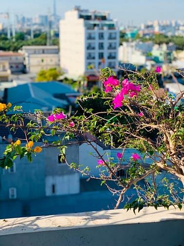 Hình ảnh An Resident - Duplex ban công máy giặt riêng Quận 7 - Giảm mạnh 500k