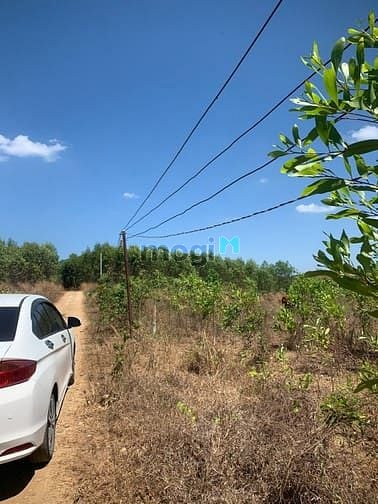Hình ảnh 📣📣 1 LÔ DUY NHẤT, 2021m2 xã Phước Bình - Long Thành