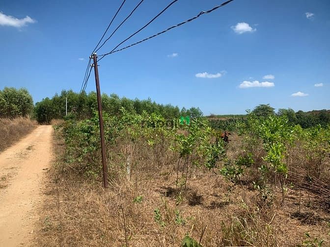 Hình ảnh 📣📣 1 LÔ DUY NHẤT, 2021m2 xã Phước Bình - Long Thành
