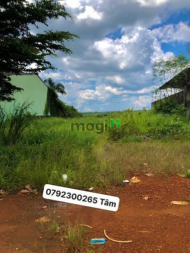Hình ảnh Đất thổ cư mặt tiền đường nhựa bảo lộc