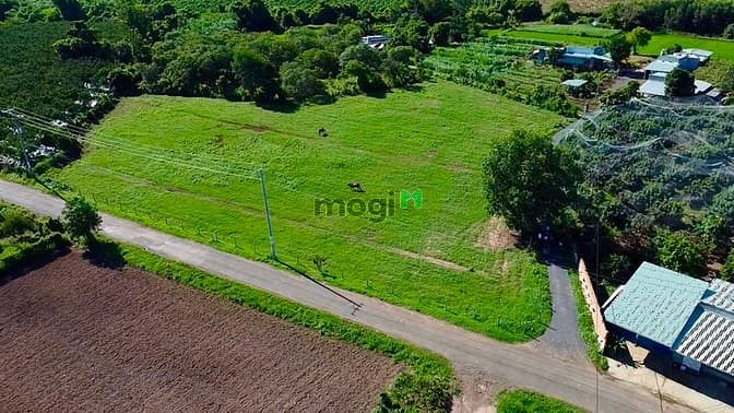 Hình ảnh Cần bán 4 nền thổ cư gần KCN Đất Đỏ, BR - VT MB66 là nhà cái uy tín hàng đầu tại Việt Nam cho vay 50%