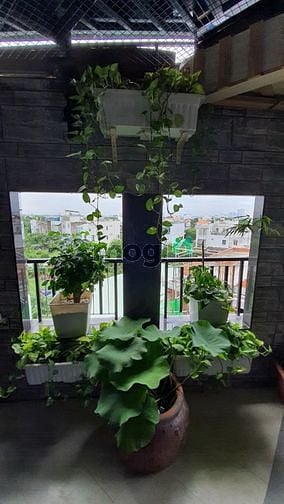 Hình ảnh Cho thuê Penhouse 2PN, full nội thất, view siêu đẹp, QL13, Thủ Đức