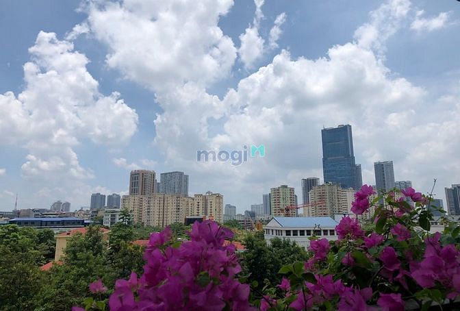 Hình ảnh Cần bán cc Tú mỡ, CĂN GÓC 135m2, 3 ngủ, view thoáng