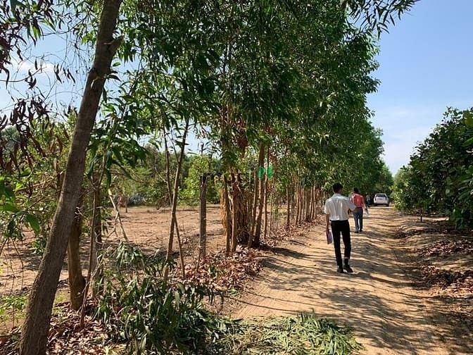Hình ảnh Đất NGỘP 1612m2 ngay khu dân cư, SHR, được qui hoạch đất ONT.