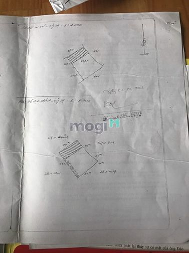 Hình ảnh Bán đất sổ chung Tân Bình -Dĩ An -Bình Dương