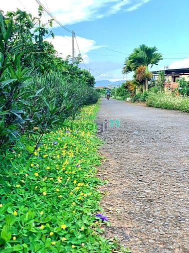 Hình ảnh Còn Lô đất Vàng 1100m2 (100 thổ) điểm xuống CAO TỐC, Phước Bình