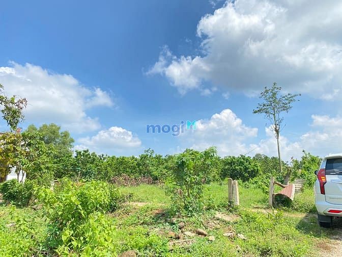 Hình ảnh Còn Lô đất Vàng 1100m2 (100 thổ) điểm xuống CAO TỐC, Phước Bình