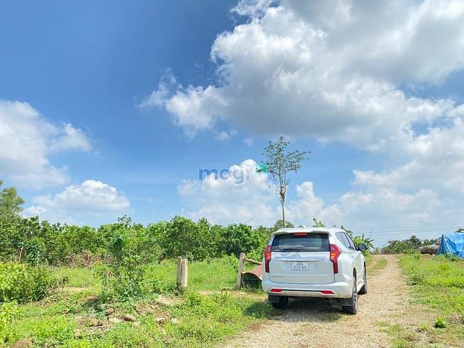 Hình ảnh Còn Lô đất Vàng 1100m2 (100 thổ) điểm xuống CAO TỐC, Phước Bình