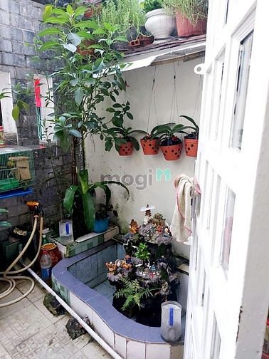 Hình ảnh HXH Lạc Long Quân,2 tầng, 74m2 giá chỉ 7.9 tỷ