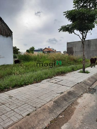 Hình ảnh Đất Bình Chánh mặt tiền đường Hoàng Phan Thái SHR -95m2-1,9 tỷ